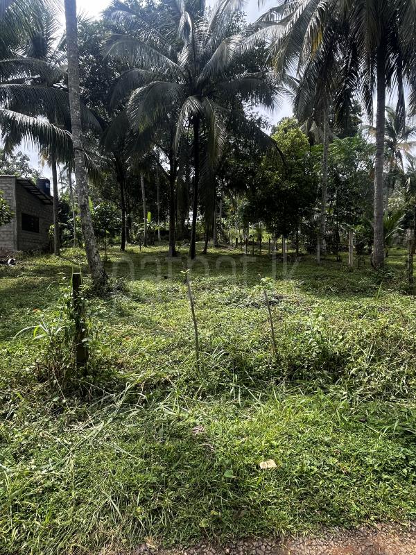 Residential Land for Sale in Kavudupelella