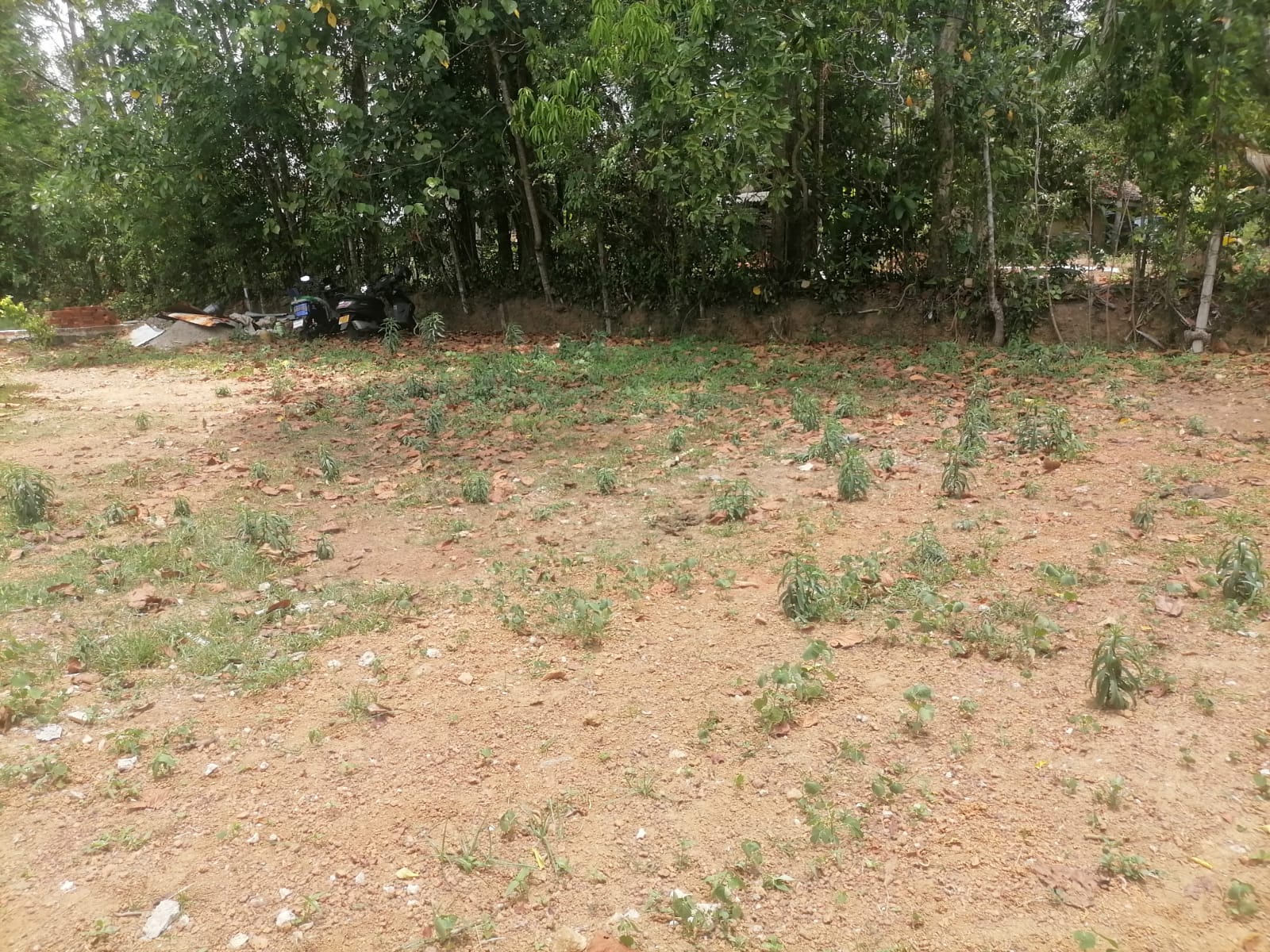 Commercial Land for Sale in Yakkala