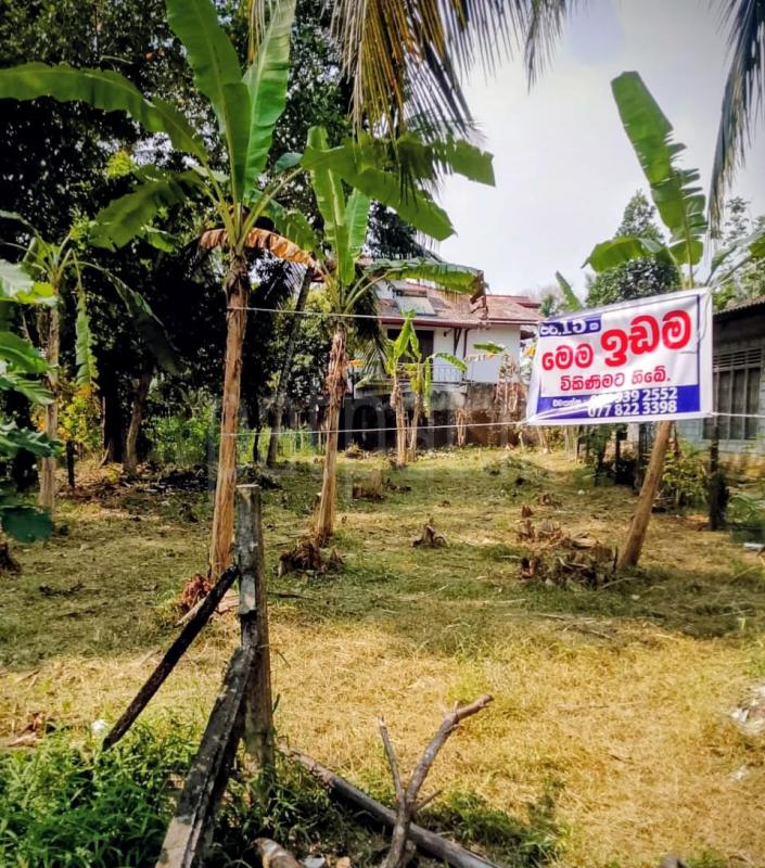 Residential Land for Sale in Weliveriya