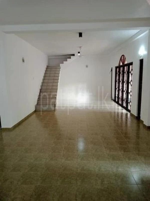 ads-image-1