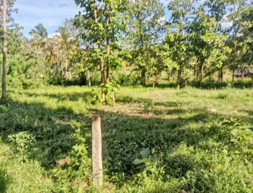 Agricultural Land for Sale in Veyangoda
