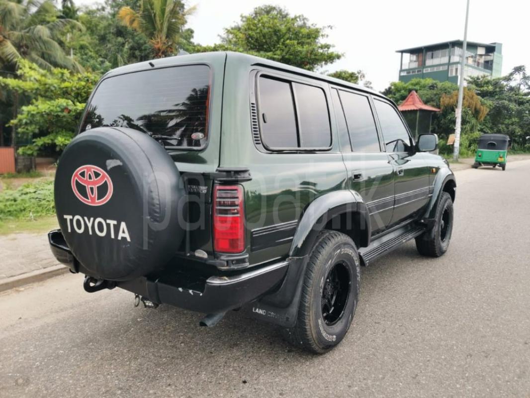 Advertisement image 3