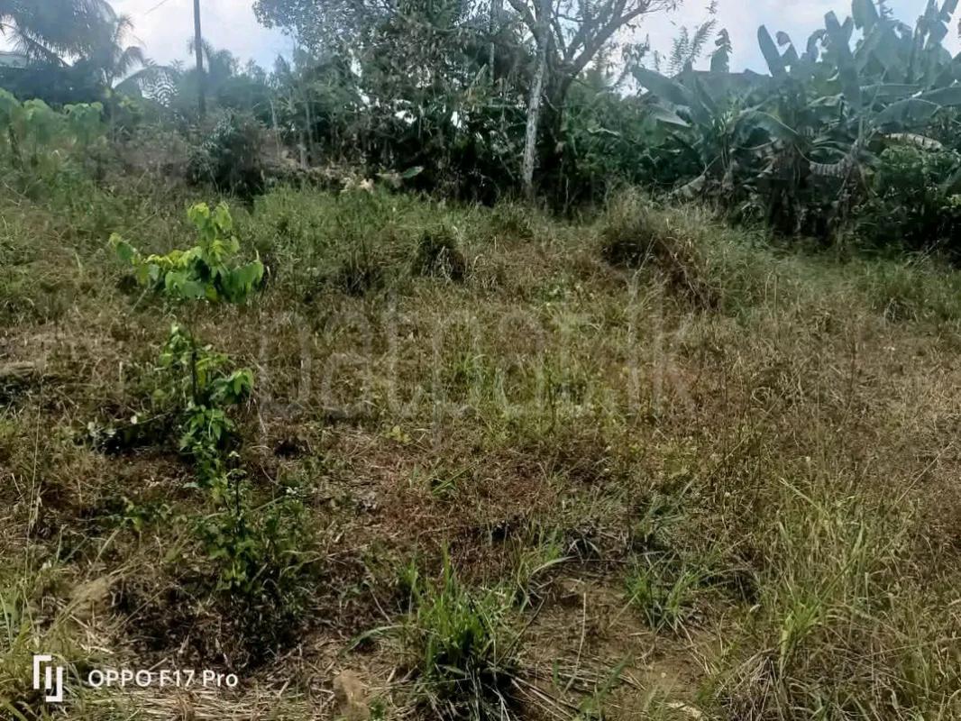 Agricultural Land for Sale in Maho
