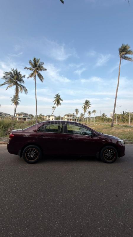 Advertisement image 6