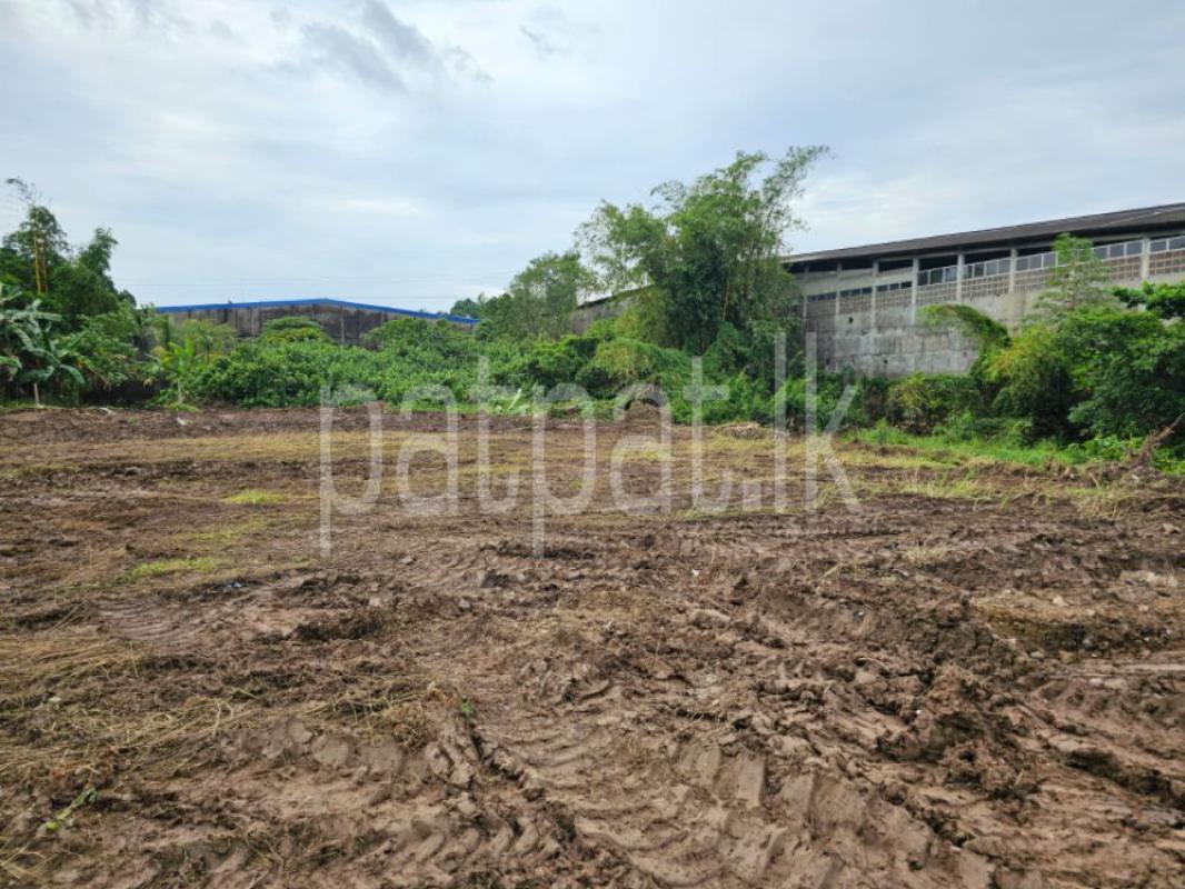 Advertisement image 1