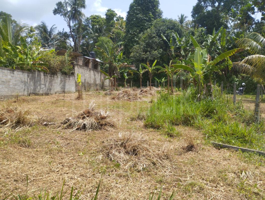 Commercial Land for Sale in Rambukkana