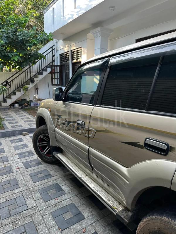 Advertisement image 3