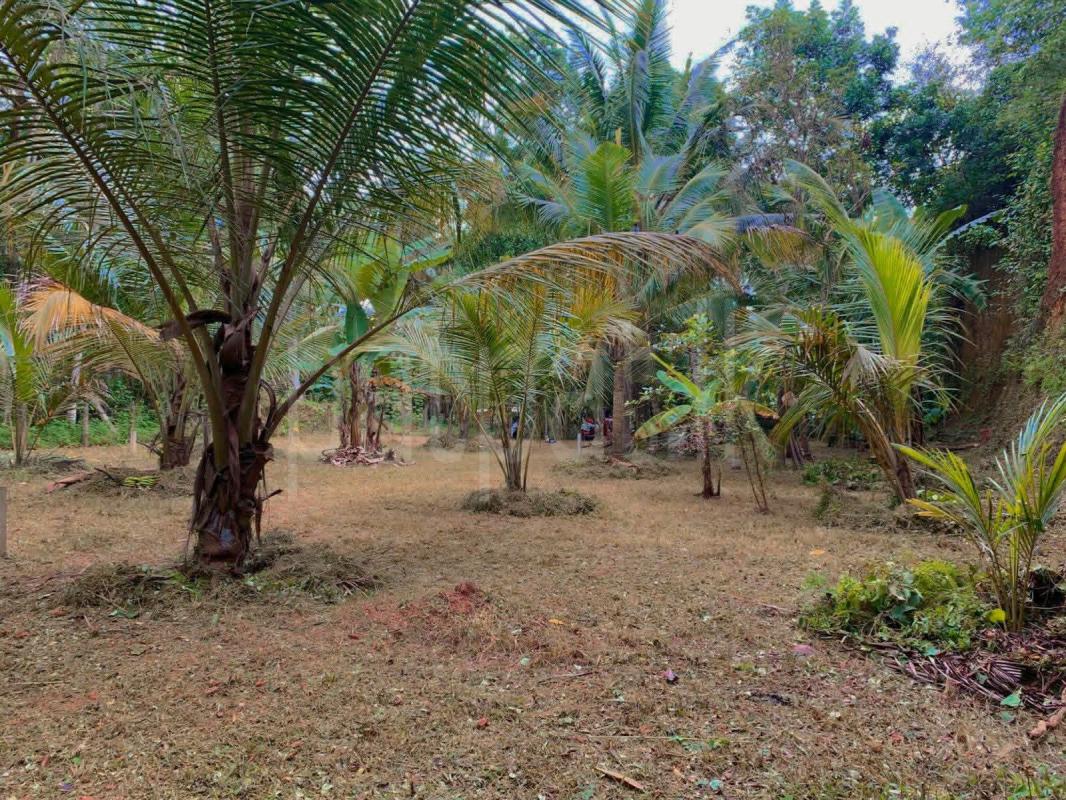 Residential Land for Sale in Katana