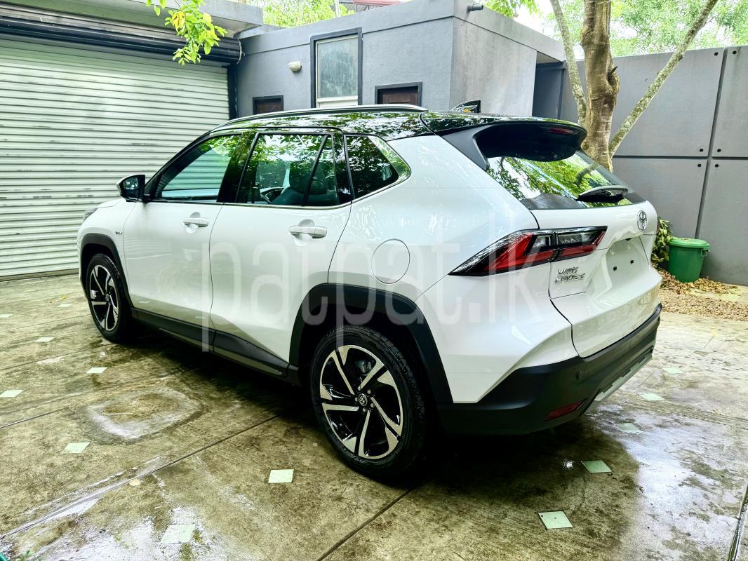 Advertisement image 2