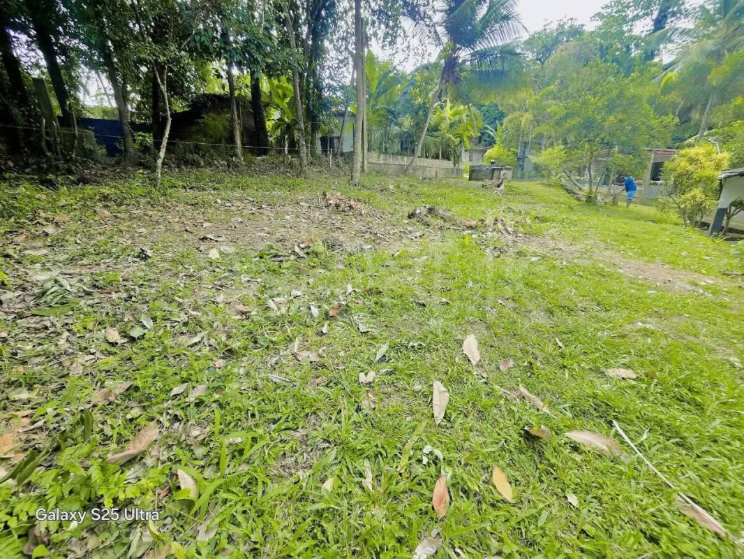 premium-listing-image