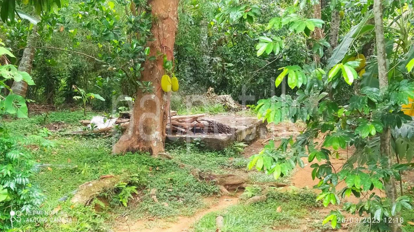 Commercial Land for Sale in Homagama