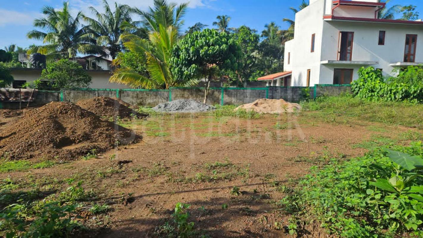 Commercial Land for Sale in Homagama