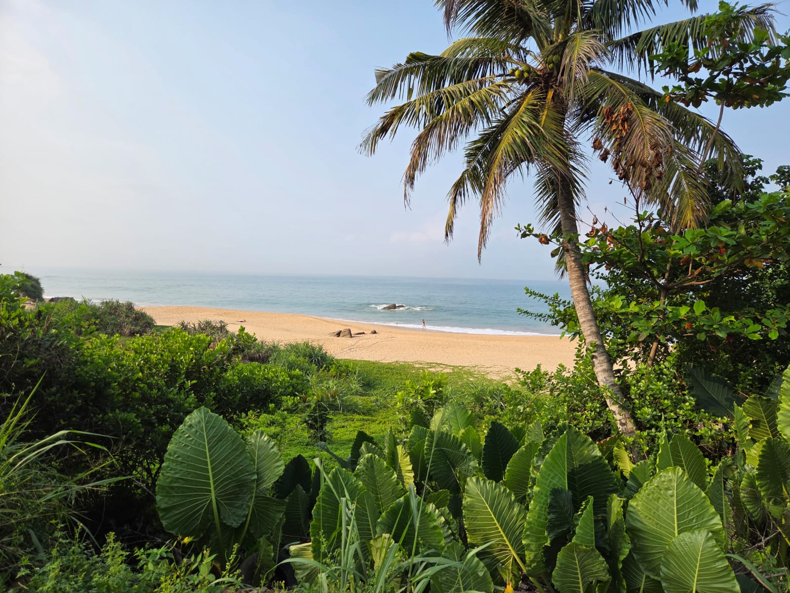 Commercial Land for Sale in Balapitiya