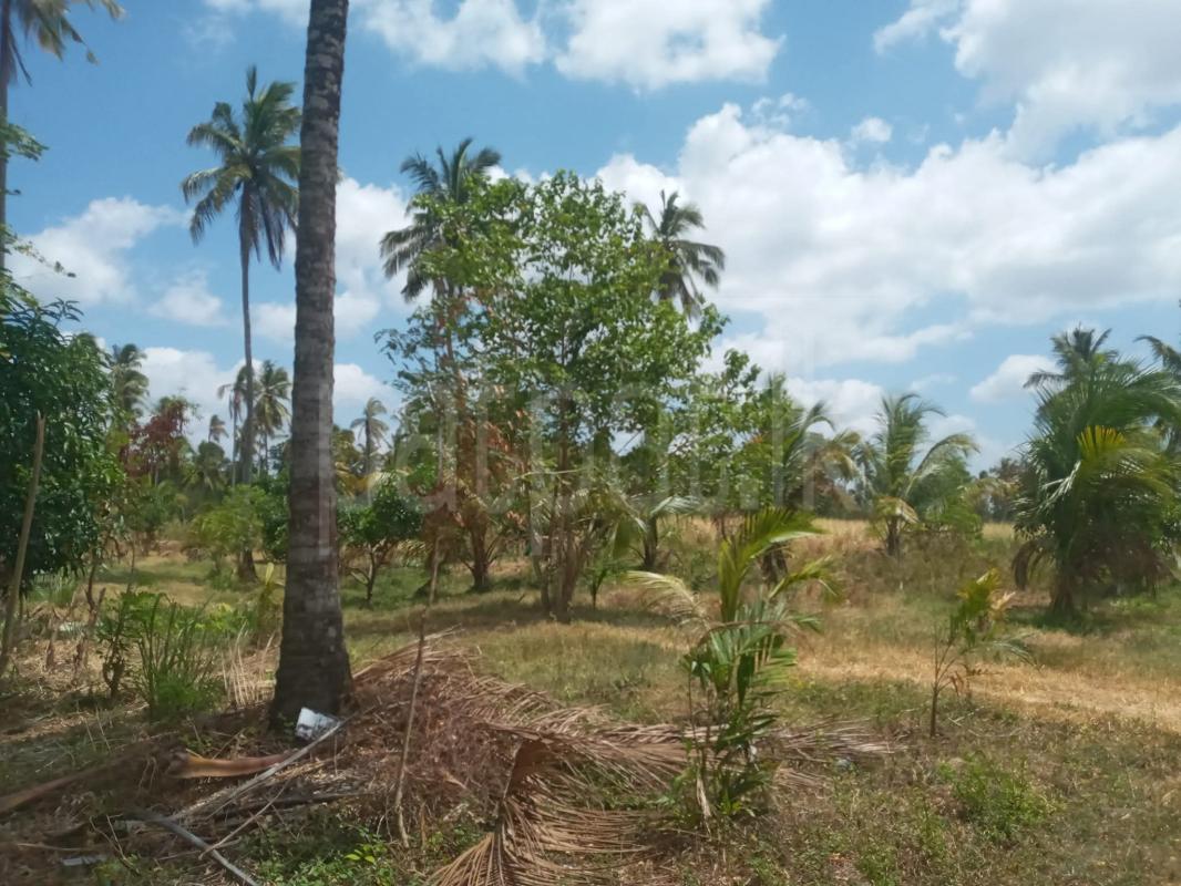 Agricultural Land for Sale in Kurunegala