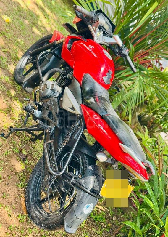 Bajaj Pulsar 2010 - Used Bike sale in Sri Lanka - patpat.lk