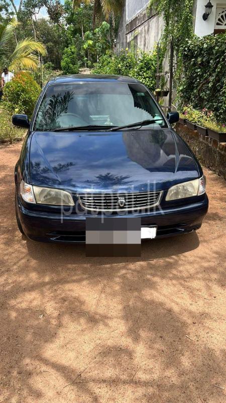 Advertisement image 1