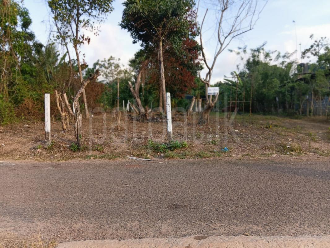Residential Land for Sale in Wadduwa