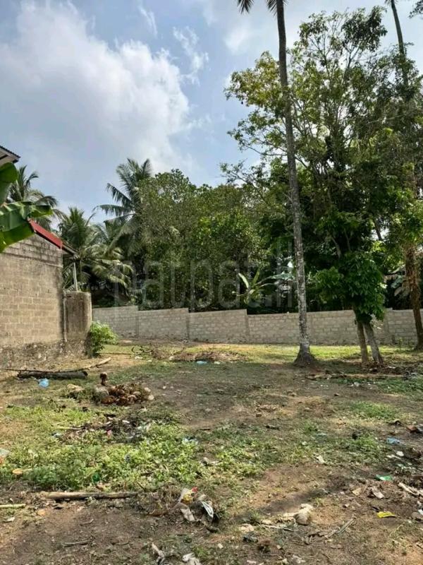 Agricultural Land for Sale in Ridigama ads-image-1