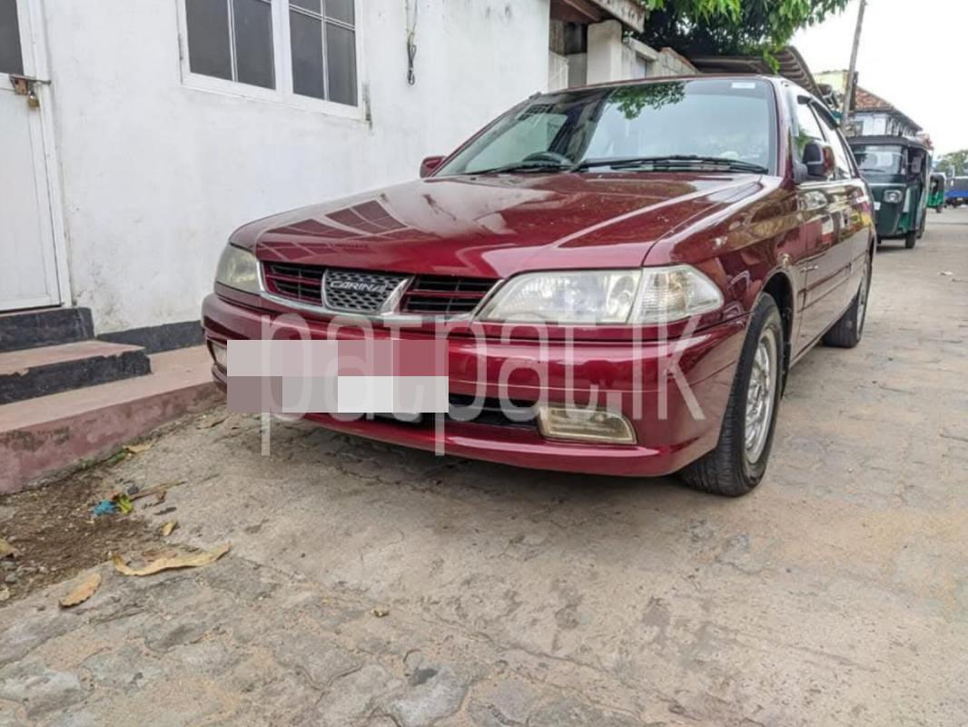 Advertisement image 3