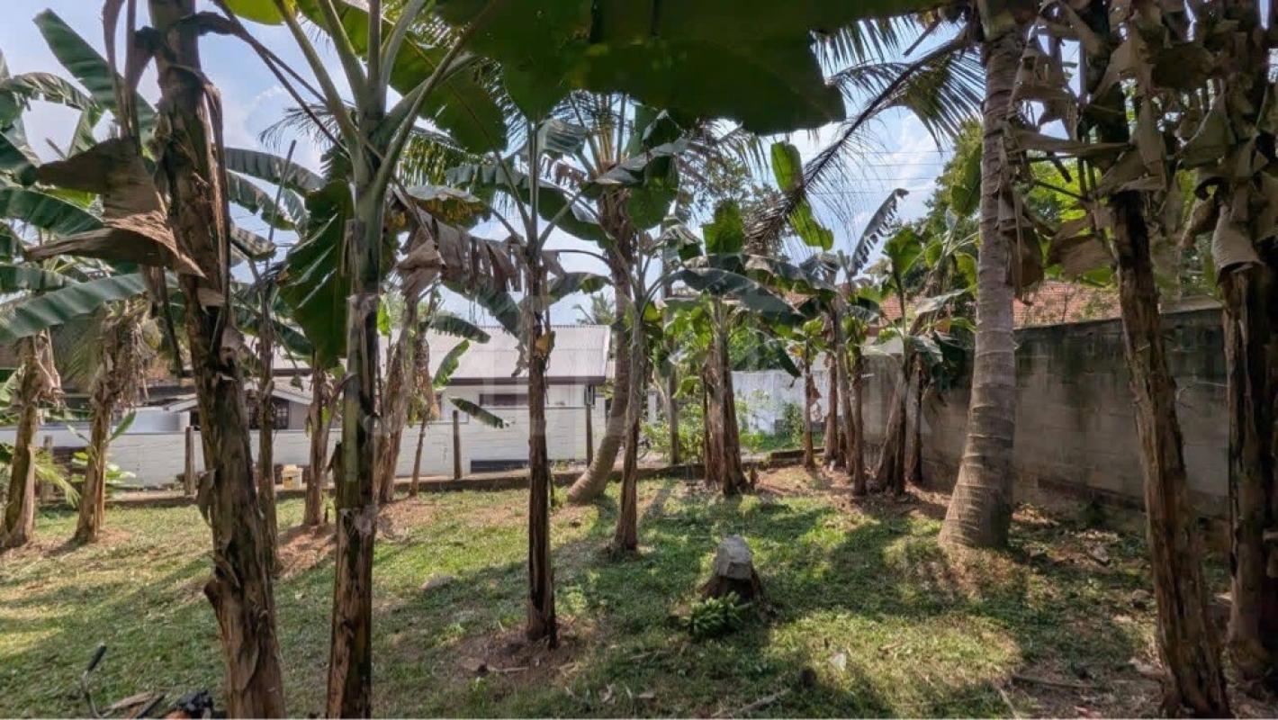 Residential Land for Sale in Weliveriya ads-image-1