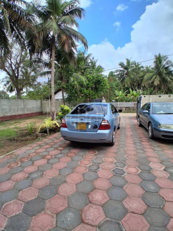 Toyota Corolla 2005 - பயன்படுத்தப்பட்டது கார் sale in Sri Lanka - patpat.lk