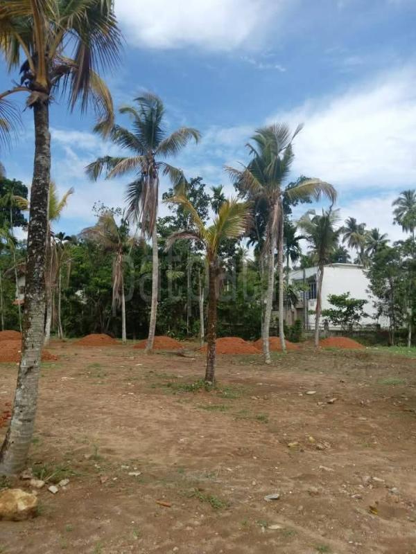 Commercial Land for Sale in Athurugiriya