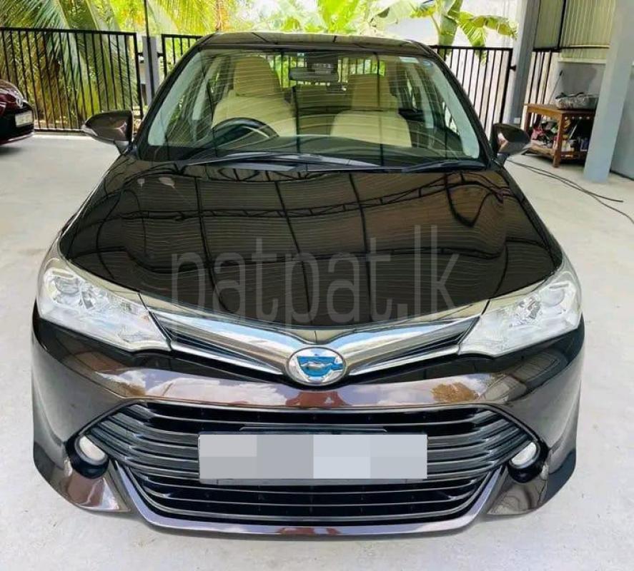 Advertisement image 3