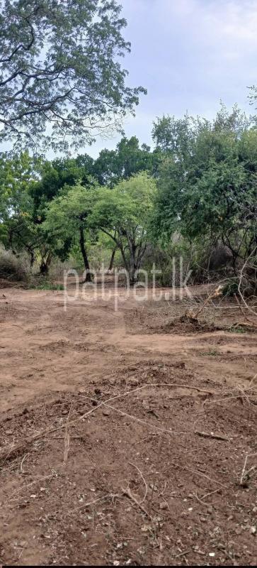 Residential Land for Sale in Kataragama