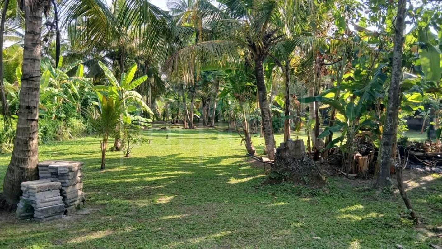 Residential Land for Sale in Kottawa