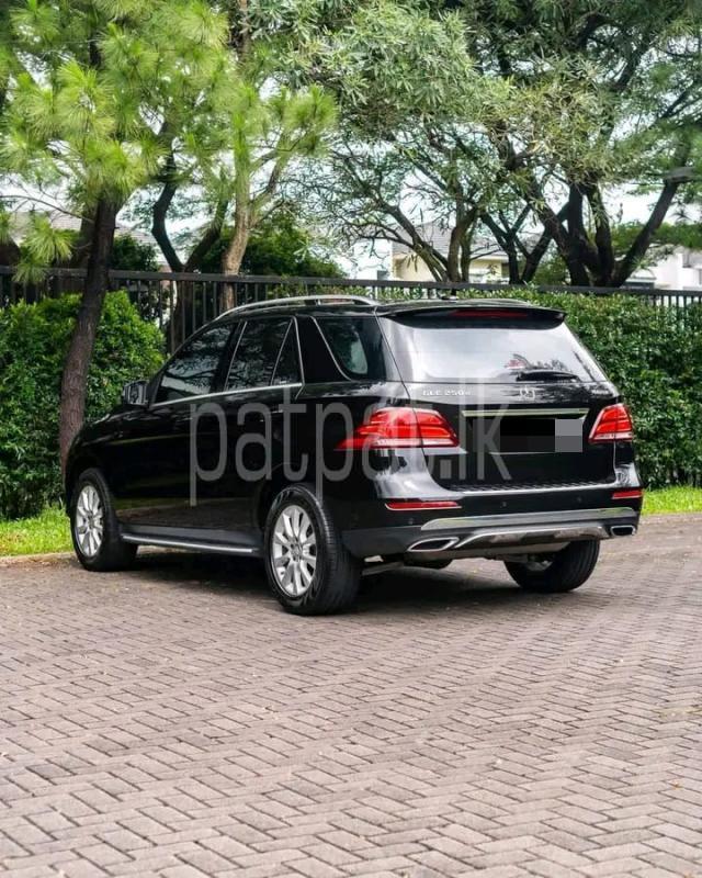 Advertisement image 5