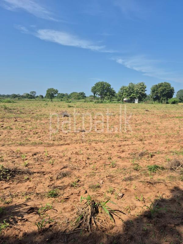 Residential Land for Sale in Anuradhapura