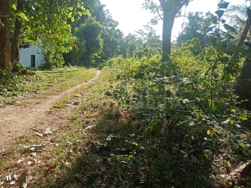 Residential Land for Sale in Boyagane