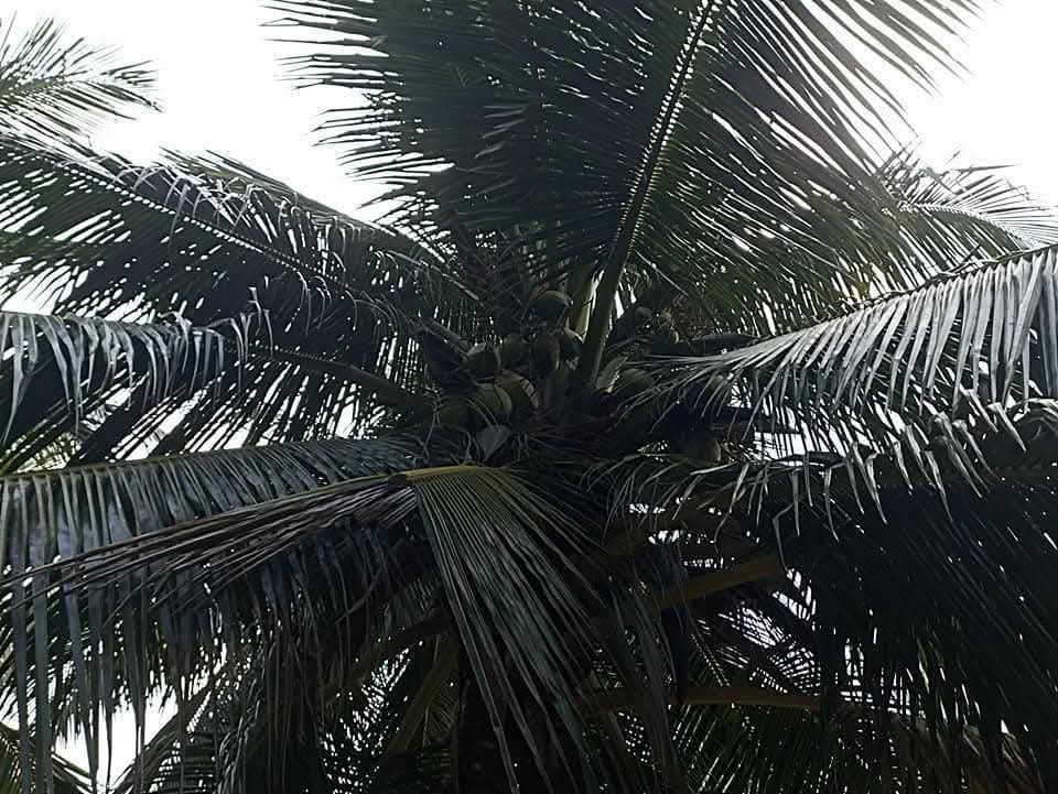 House for Sale in Puttalam