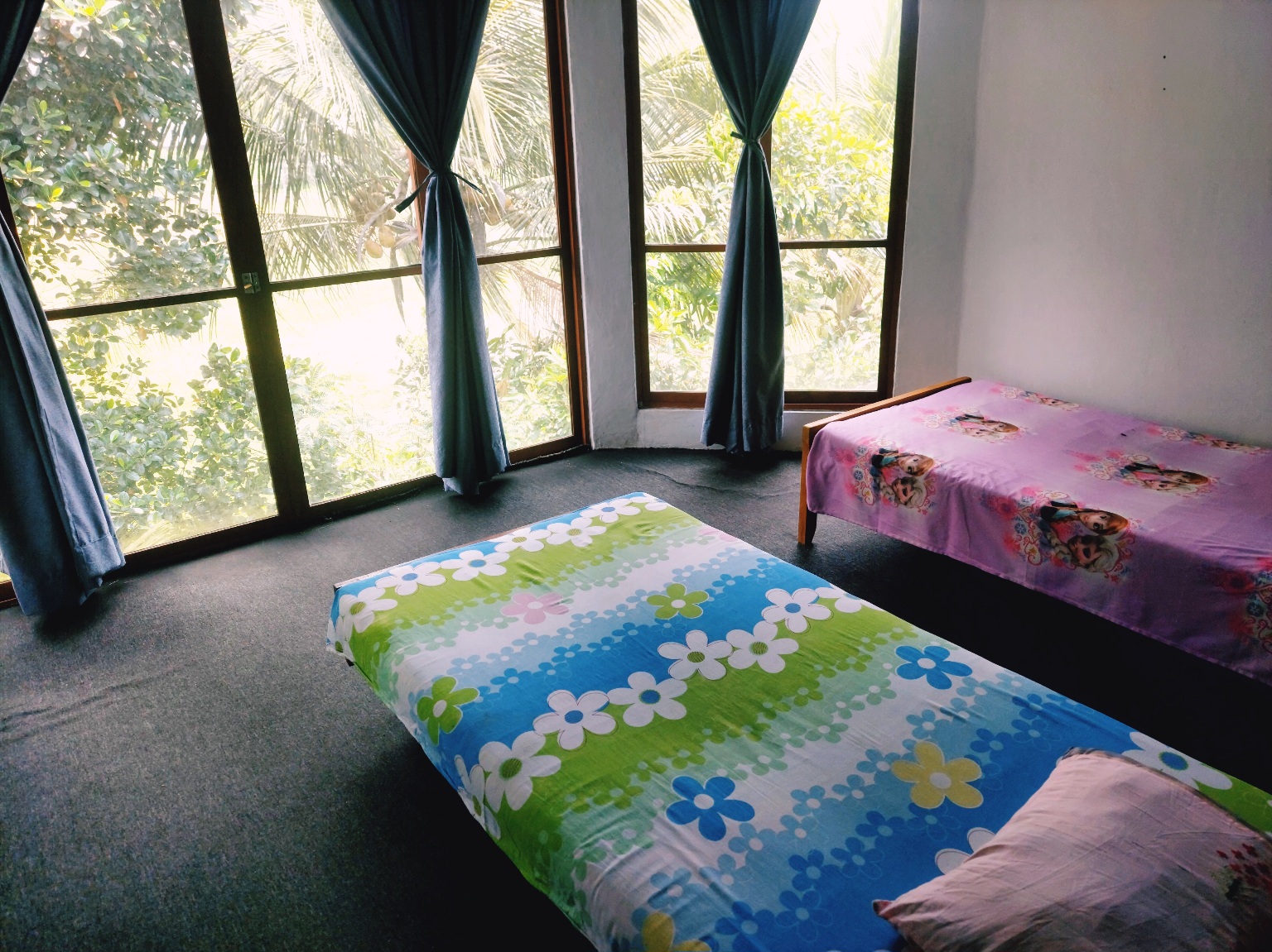 Advertisement image 5