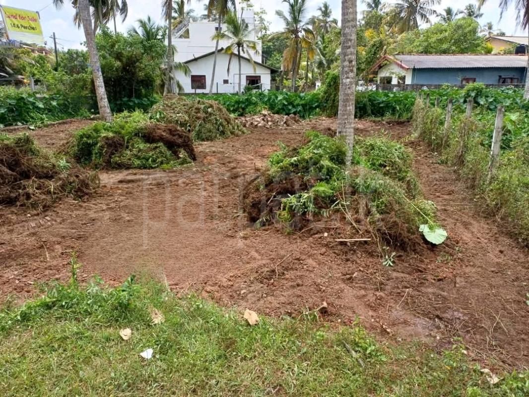 Agricultural Land for Sale in Ja-Ela