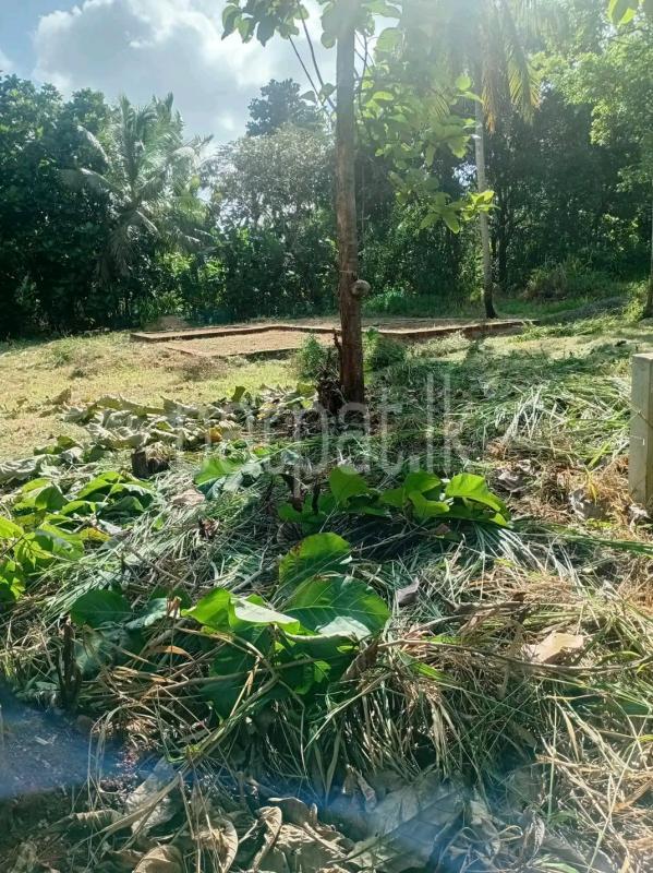 Agricultural Land for Sale in Maharagama