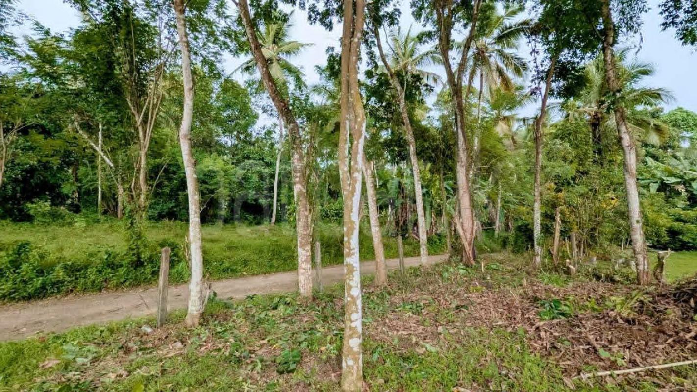Residential Land for Sale in Kalagedihena