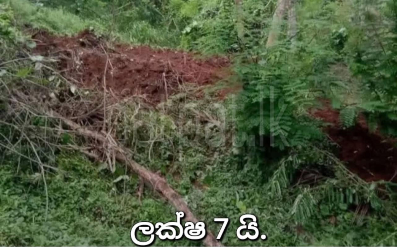 Residential Land for Sale in Ratnapura