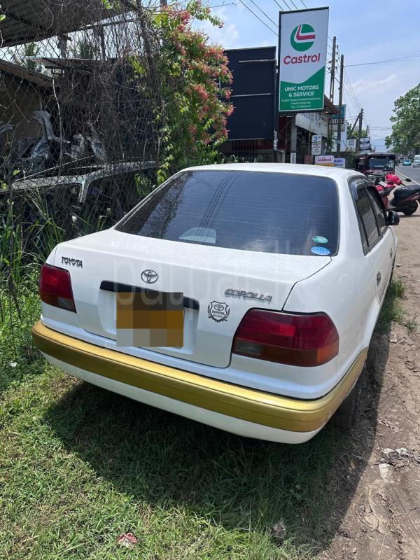 Toyota Corolla 1996 - பயன்படுத்தப்பட்டது கார் sale in Sri Lanka - patpat.lk