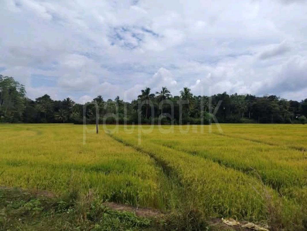 Residential Land for Sale in Tangalla