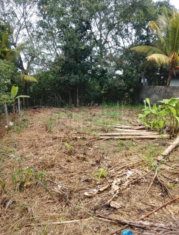 Residential Land for Sale in Kahathuduwa ads-image-1