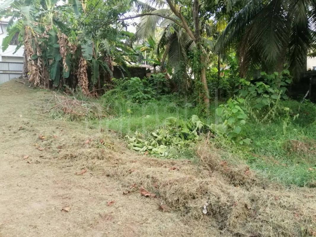 Commercial Land for Sale in Athurugiriya