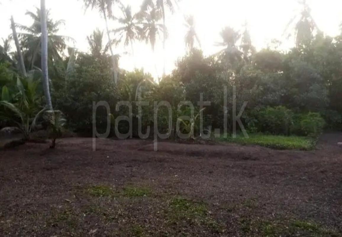 Advertisement image 6