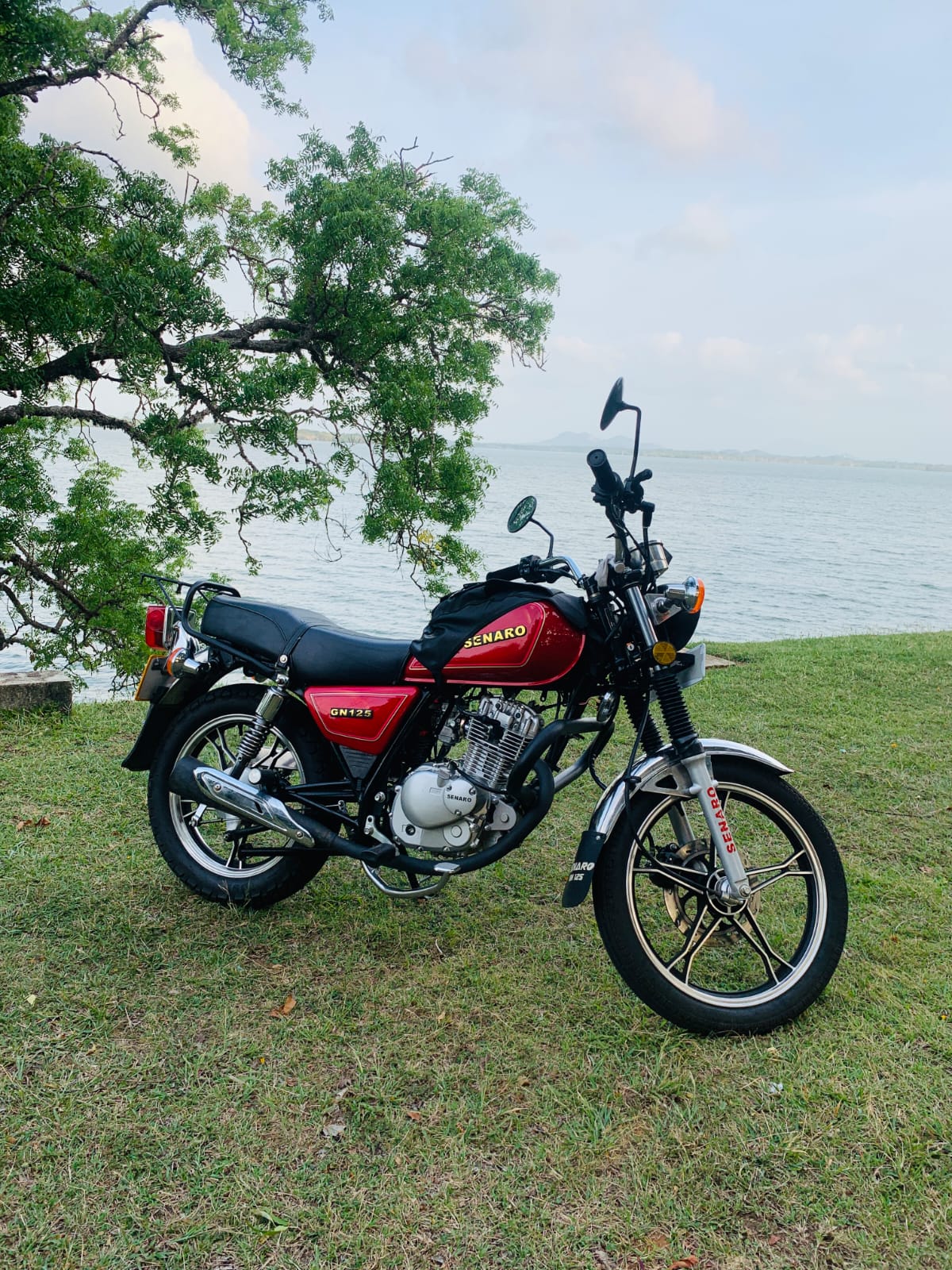 Senaro GN 125 2025 - Used Bike sale in Sri Lanka - patpat.lk