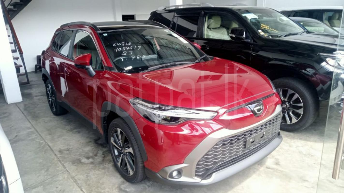 Advertisement image 2