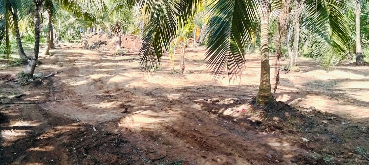 Agricultural Land for Sale in Hambantota ads-image-1