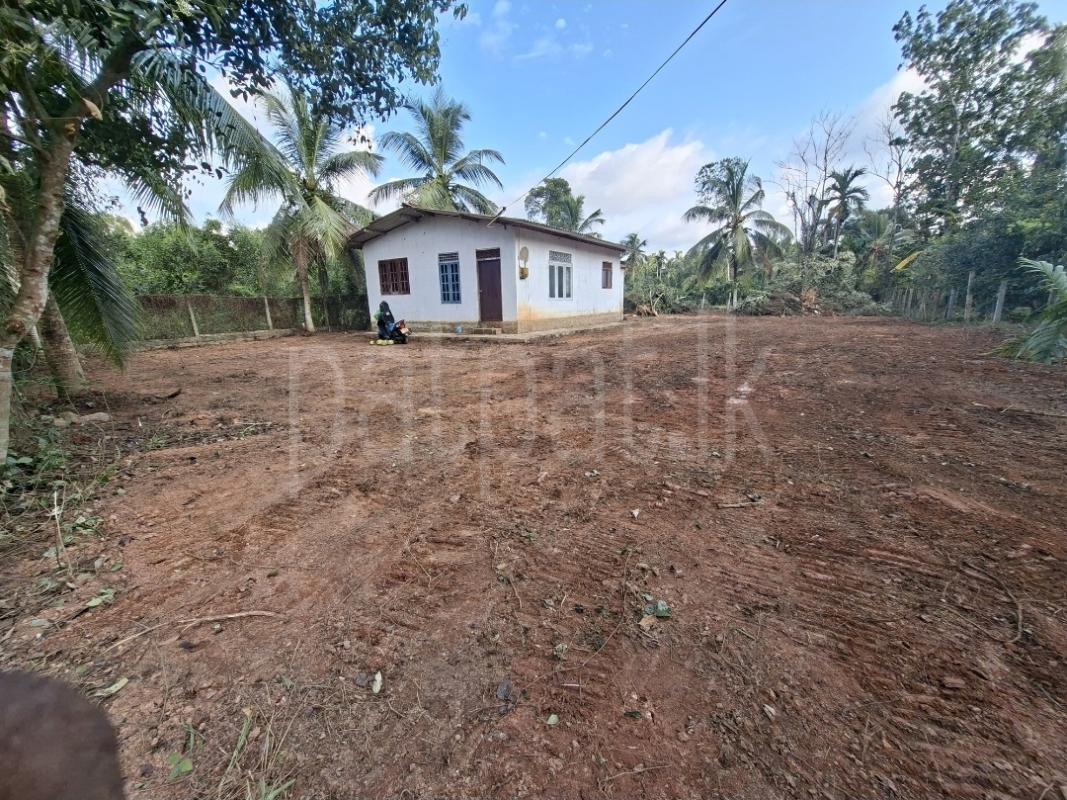 Residential Land for Sale in Makewita