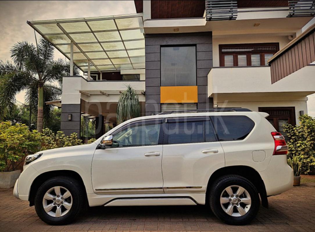 Advertisement image 3