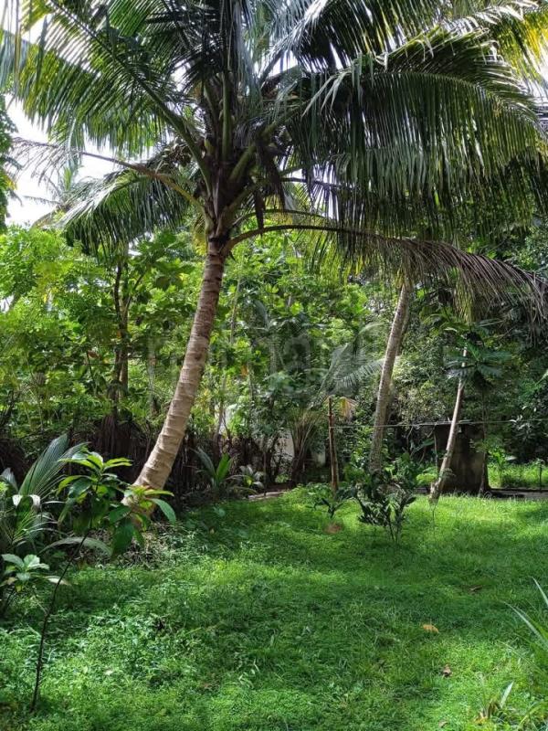 House for Sale in Hikkaduwa