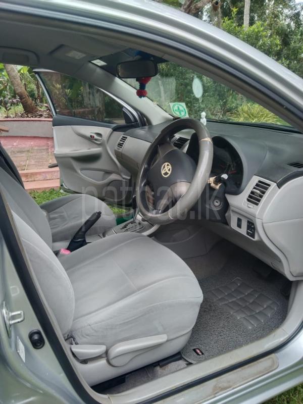 Advertisement image 5